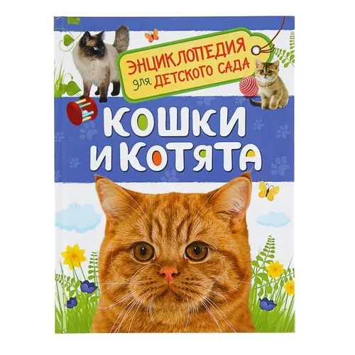 Кошки и котята. Энциклопедия для детского сада | Мигунова Елена Яковлевна