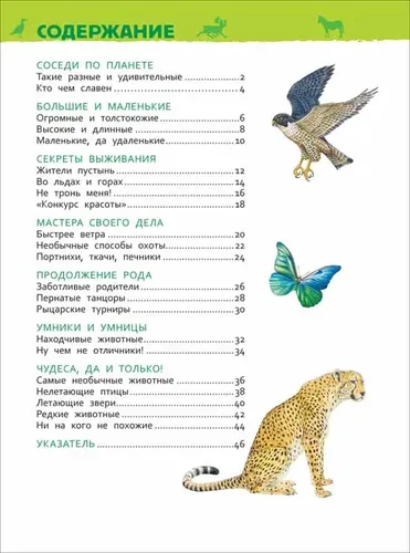 Удивительные животные. Энциклопедия для детского сада | Ирина Травина