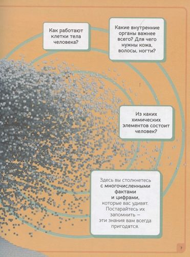 Inson tanasi. Infografika | Pettman K., sotib olish