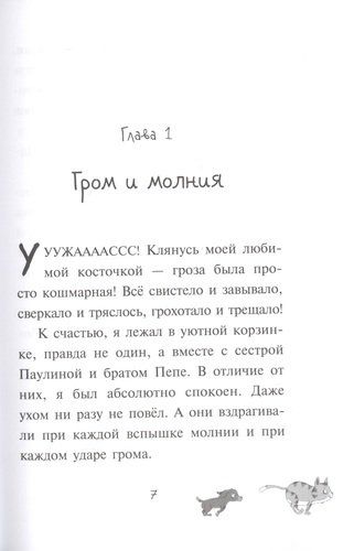 Первое дело таксы | Фрауке Шойнеманн, Антье Циллат, фото