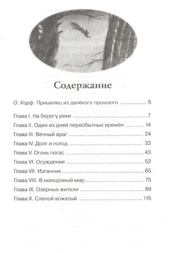 Приключения доисторического мальчика | Д’Эрвильи Э., купить недорого