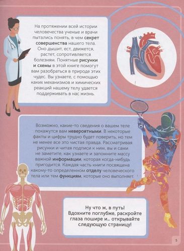 Inson tanasi. Infografika | Pettman K., фото