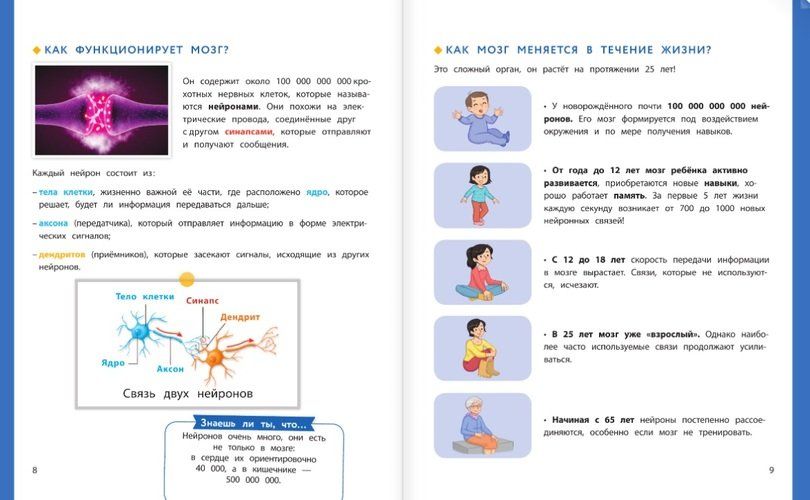 Настольная книга ученика начальной школы. 100 игр и заданий для развития 100 % концентрации внимания | Барбара Арройо, sotib olish