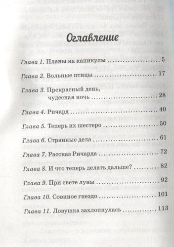 Побег из Совиного гнезда : приключенческая повесть. Книга 8 | Блайтон Энид, фото № 10