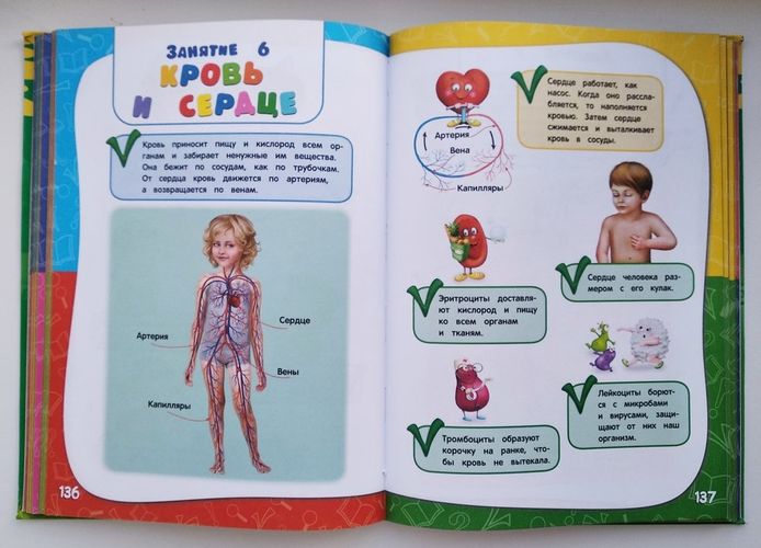 Годовой курс занятий: для детей 4-5 лет (ФГОС) | Таисия Мазаник, Елена Лазарь, Елизавета Малевич, foto