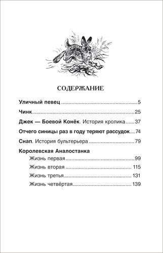 Рассказы о животных | Эрнест С.Т., в Узбекистане