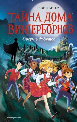 Тайна дома Винтерборнов. Дверь в будущее | Элли Картер