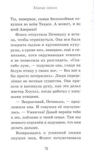 Храбрый совенок | Рэйчел Дэлахэй, foto