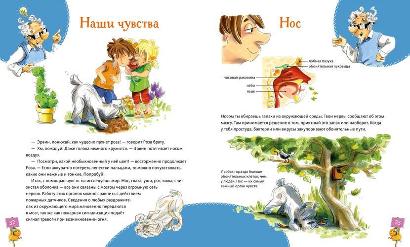 Большая книга здоровья для всей семьи | Гренемайер Д., Эрне А., Штар К., O'zbekistonda