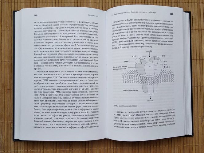 Загадки сна: От бессонницы до летаргии | Михаил Полуэктов, arzon