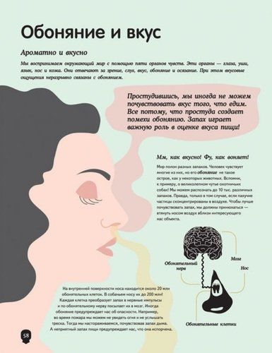 Тело человека. Визуальный гид | Перабони Кристина, в Узбекистане