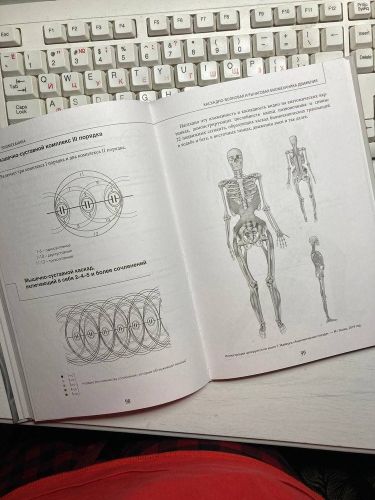 Биомеханика. Методы восстановления органов и систем | Евгений Блюм, фото № 10