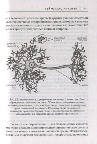 Развивай свой мозг. Как перенастроить разум и реализовать собственный потенциал | Джо Диспенза, sotib olish