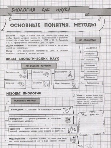 Наглядная биология | Оксана Мазур, фото