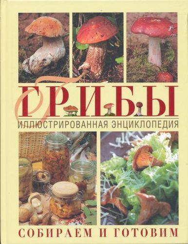 Грибы. Иллюстрированная энциклопедия. Собираем и готовим | Татьяна Ильина