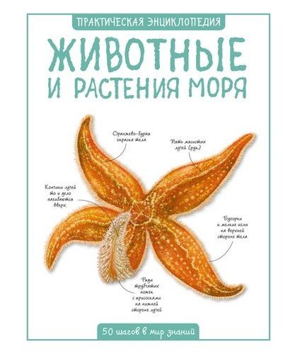 Животные и растения моря. 50 шагов в мир знаний | Бедуайер Камилла