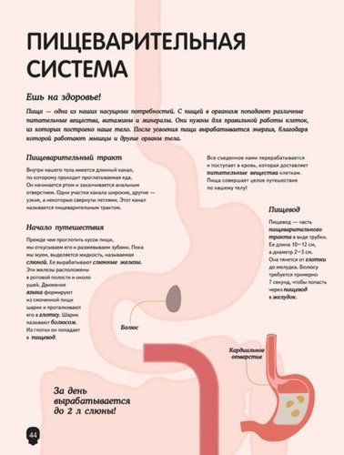 Тело человека. Визуальный гид | Перабони Кристина, фото № 4