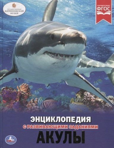 Акулы | Алексеев, фото