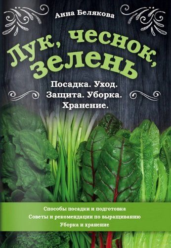 Лук, чеснок, зелень. Посадка. Уход. Защита. Уборка. Хранение | Анна Белякова