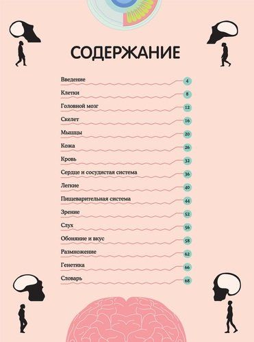 Тело человека. Визуальный гид | Перабони Кристина, купить недорого