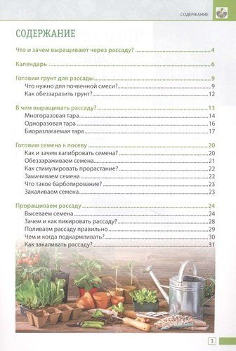 Крепкая рассада. Богатый урожай своими руками | Елена Имбирева, фото № 4