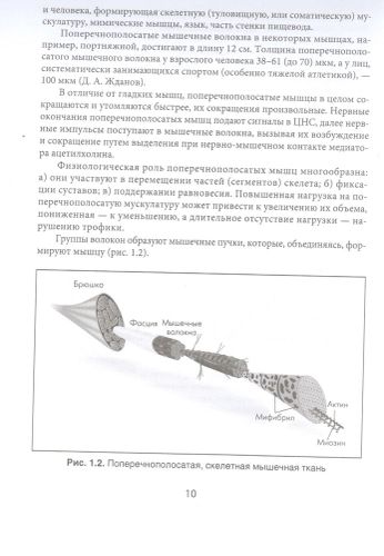 МИОФАСЦИАЛЬНЫЙ РЕЛИЗ. Эффективные методики растяжения мышц и фасций для предупреждения травм и избавления от хронических болей | Виталий Епифанов, Александр Епифанов, фото