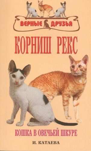 Корниш рекс. Кошка в овечьей шкуре | Катаева