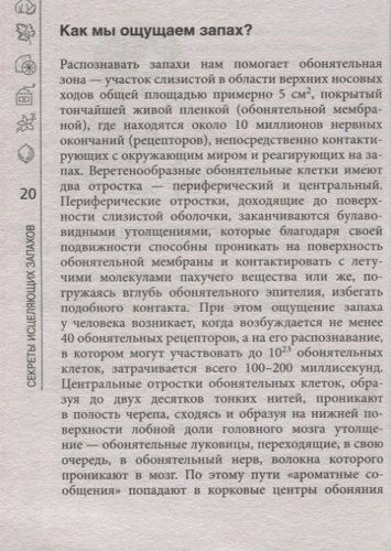 Домашняя ароматерапия | Дмитрий Макунин, фото № 4