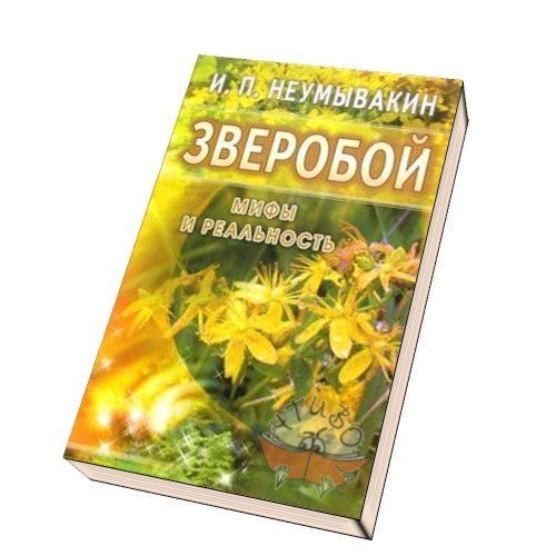 Зверобой: мифы и реальность | Неумывакин Иван Павлович