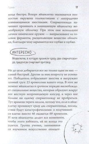 280 дней до вашего рождения. Репортаж о том, что вы забыли, находясь в эпицентре событий | Катарина Вестре, фото № 4