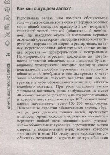 Домашняя ароматерапия | Дмитрий Макунин, фото № 10