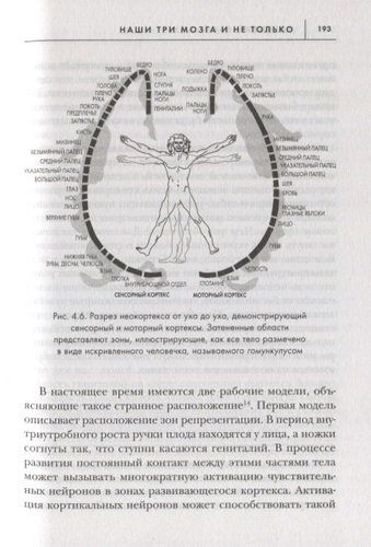 Развивай свой мозг. Как перенастроить разум и реализовать собственный потенциал | Джо Диспенза, фото № 4