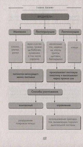 Сад и огород без болезней и вредителей. Как защитить, но не травить | Галина Кизима, фото № 4