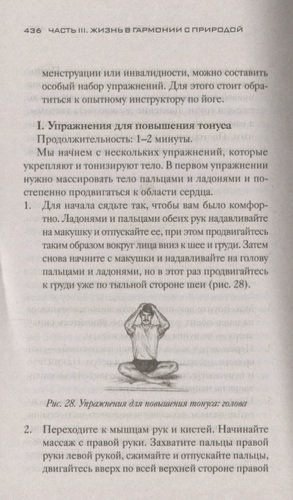 Аюрведа. Древняя мудрость и современная наука для совершенного здоровья | Дипак Чопра, фото № 4