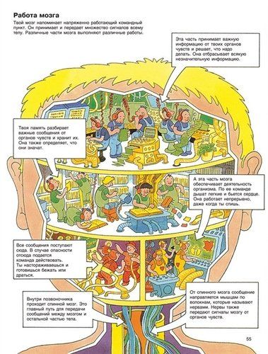 Детская энциклопедия "РОСМЭН" | Кинг К., Эллиот Дж., arzon