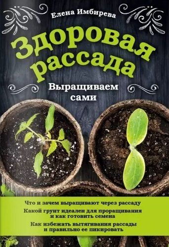 Здоровая рассада. Выращиваем сами | Имбирева