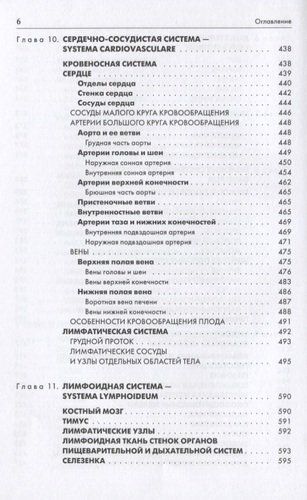 Атлас анатомии человека. Учебное пособие для высших медицинских учебных заведений | Рудольф Самусев, foto