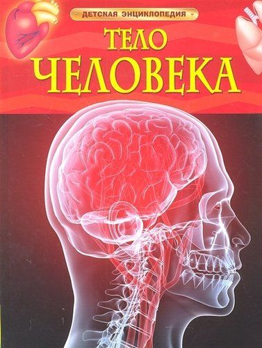 Тело человека. Детская энциклопедия | Смит Маргарет