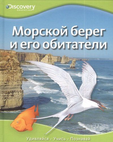 Морской берег и его обитатели | Покидаева Татьяна Юрьевна