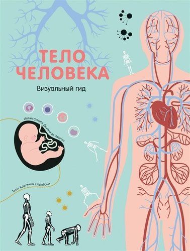 Тело человека. Визуальный гид | Перабони Кристина