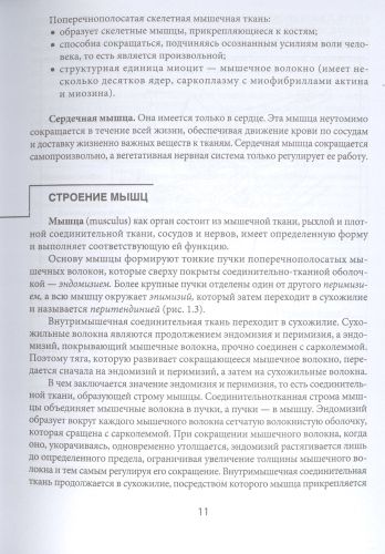 МИОФАСЦИАЛЬНЫЙ РЕЛИЗ. Эффективные методики растяжения мышц и фасций для предупреждения травм и избавления от хронических болей | Виталий Епифанов, Александр Епифанов, фото № 4