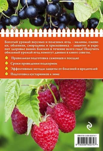 Полезные ягоды. Секреты сверхурожая | Анна Белякова, в Узбекистане