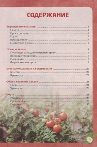 Помидоры. От рассады до богатого урожая | Анна Белякова, купить недорого