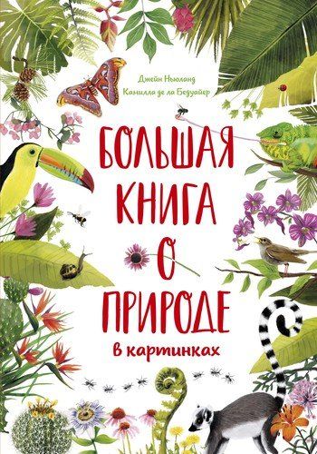 Большая книга о природе в картинках | Бедуайер Камилла