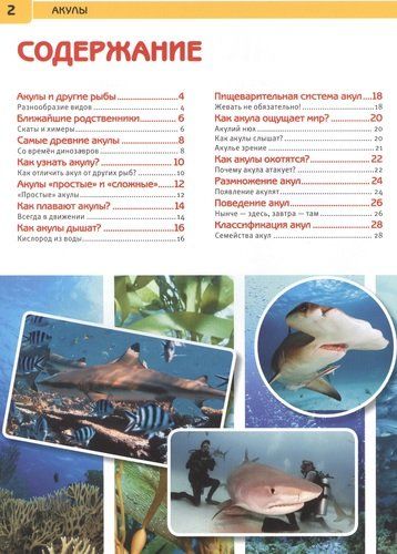 Акулы | Алексеев, купить недорого