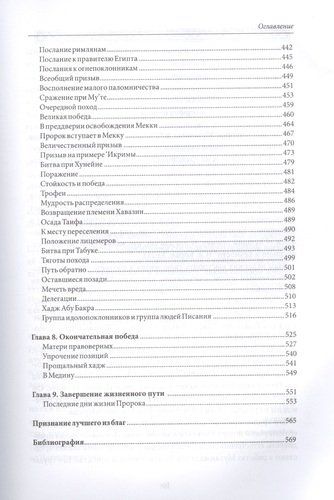 Пророк Мухаммад. Жизнеописание лучшего из людей | Аляутдинов, фото