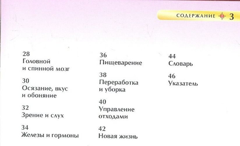 Тело человека. Детская энциклопедия | Смит Маргарет, в Узбекистане