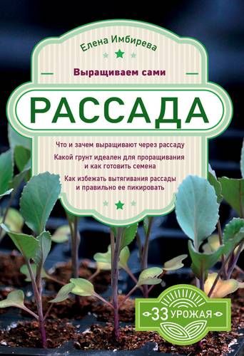 Рассада. Выращиваем сами | Елена Имбирева