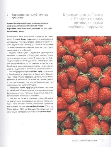 Вино. Новый полный справочник. Позвольте рассказать вам о вине… | Оз Кларк, в Узбекистане