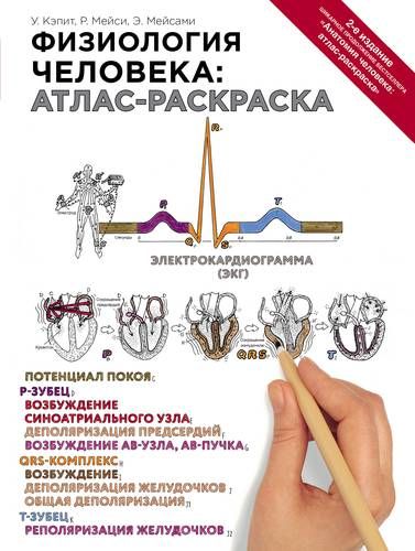 Физиология человека: атлас-раскраска | Уинн Кэпит, Роберт Мейси, Эсмаил Мейсами